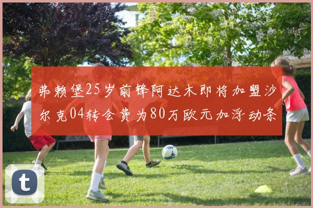 弗赖堡25岁前锋阿达木即将加盟沙尔克04转会费为80万欧元加浮动条件