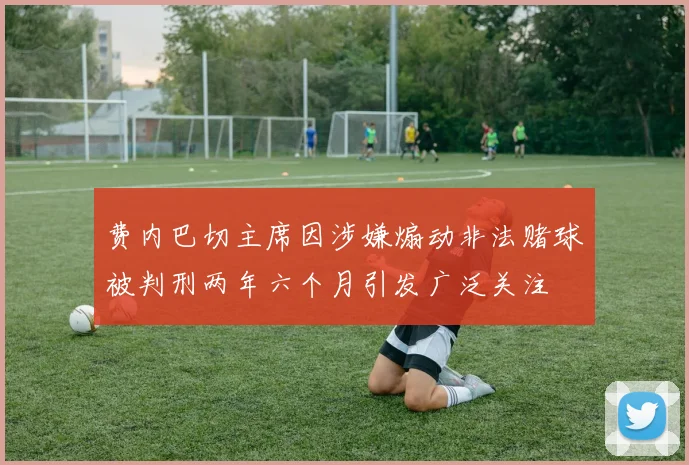 费内巴切主席因涉嫌煽动非法赌球被判刑两年六个月引发广泛关注